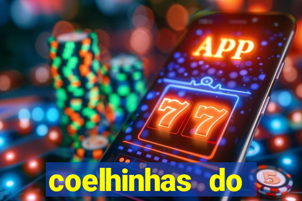 coelhinhas do brasil acompanhantes